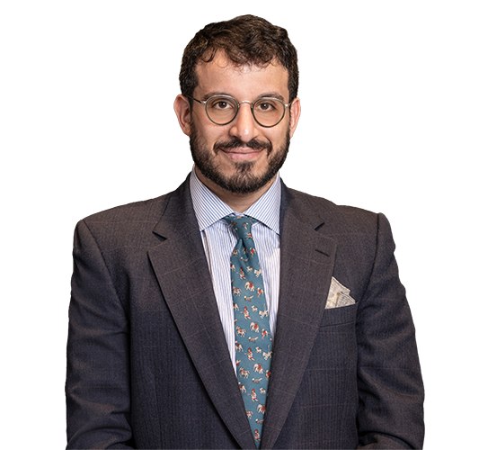 Amir A. Soleimanpour